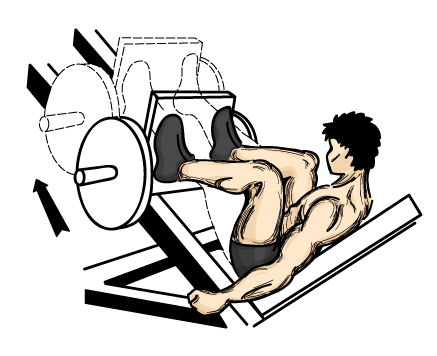 Leg_press.jpg