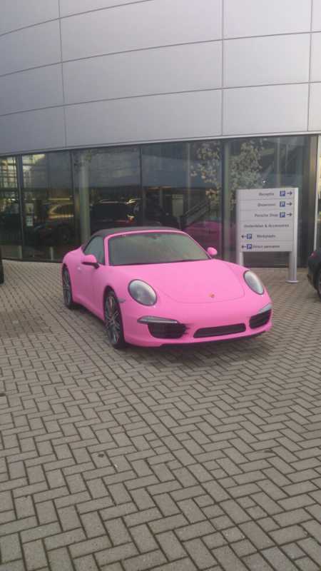 Roze991.jpg